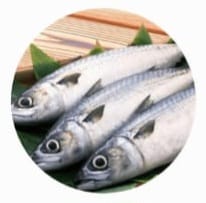 Sea Foods